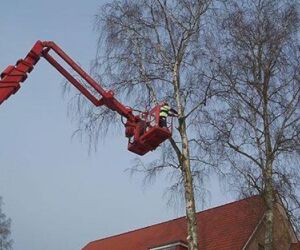 Referenzen der Firma Pawlowski Garten- und Landschaftsbau